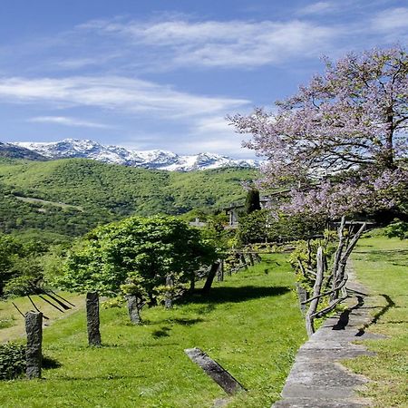 Residenza La Serenata Cavigliano Exteriér fotografie